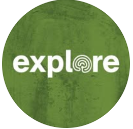Escape to the Wild: How Explore.org Brings Natures Most Intense Moments to Your Screen
